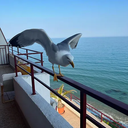 Apartment Sea View Terrace 1 Bedroom Apt Sveti Vlas